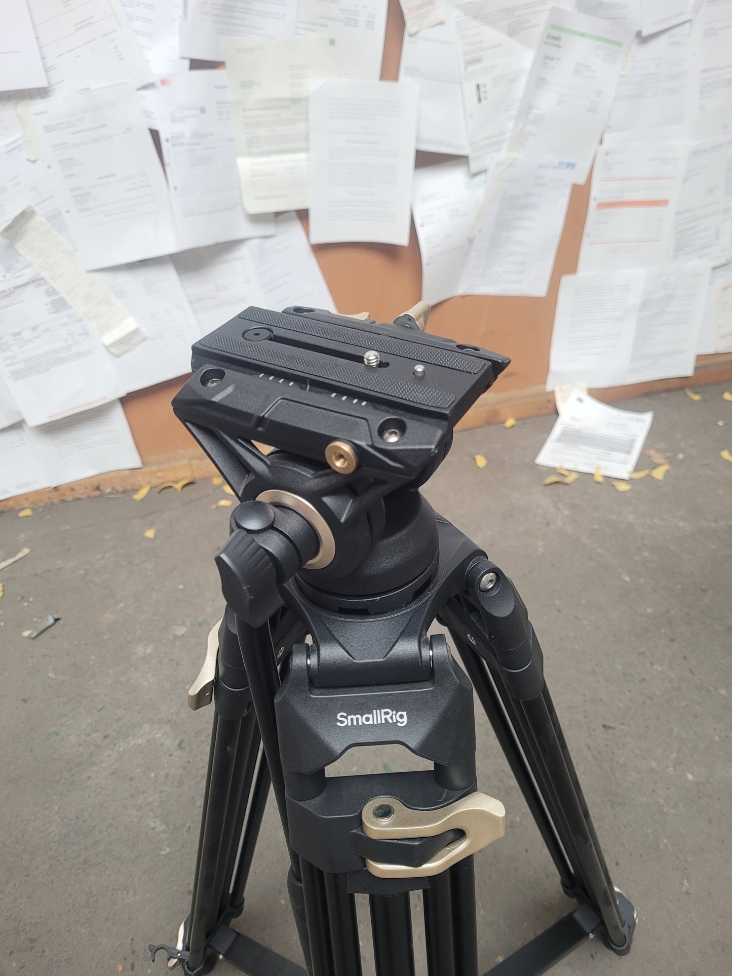 Blackmagic Kamera mit Objektiven, Stativ und weiterem Zubehör