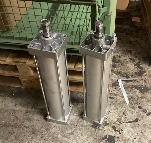 pneumatische Zylinder (Typ ETSC-125×500)